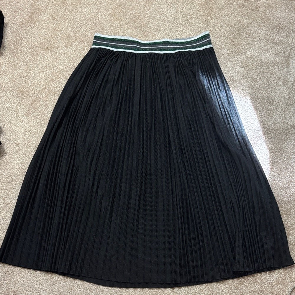 Elegant Black Pleated Skirt